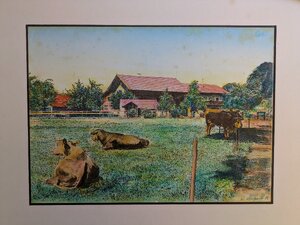 „Weidach-Westerham, Kühe“, Kolorierter Druck, 29 x 39 cm, © Wolfgang Marquart 1975